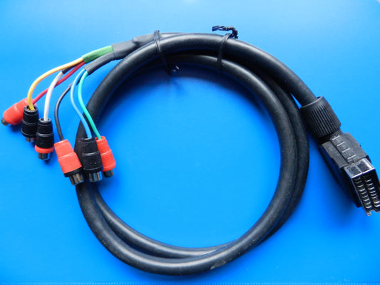 Video Kabel Scart Stecker - 6 x Cinch Buchse 1m für beide Signalwege